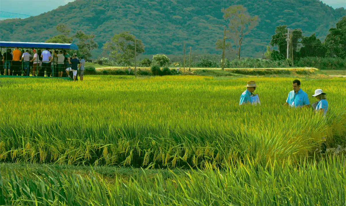 Participação da Epagri