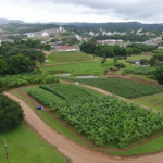 Estação Experimental de Urussanga comemora os 28 anos da Epagri com apresentação de tecnologias para diversificação das atividades rurais