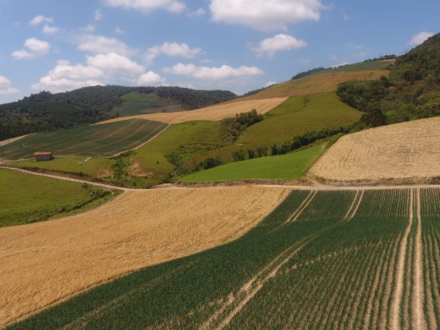 Leia mais sobre o artigo Observatório Agro Catarinense será lançado na próxima sexta-feira, 9