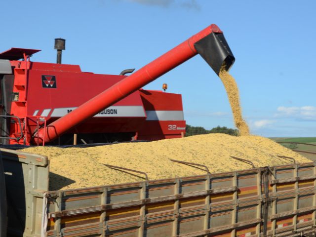 Leia mais sobre o artigo Agricultores catarinenses comemoram boa safra de soja 