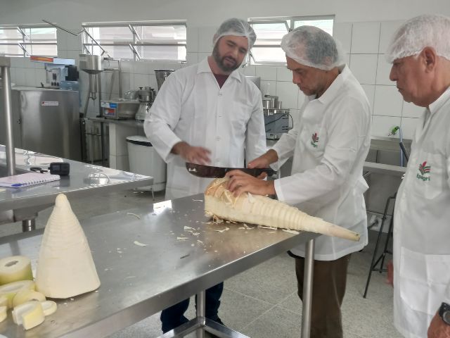 Leia mais sobre o artigo Bambu em SC: Epagri promove cursos sobre uso da planta na alimentação e na produção de utensílios