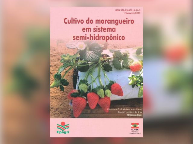 Leia mais sobre o artigo Epagri lança livro sobre cultivo de morangueiro semi-hidropônico