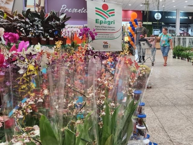 Leia mais sobre o artigo Epagri presente no Festival das Flores em Xanxerê