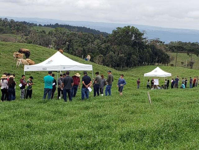 Leia mais sobre o artigo Pastagens perenes de verão: dia de campo mostra resultados de manejo em Bom Retiro