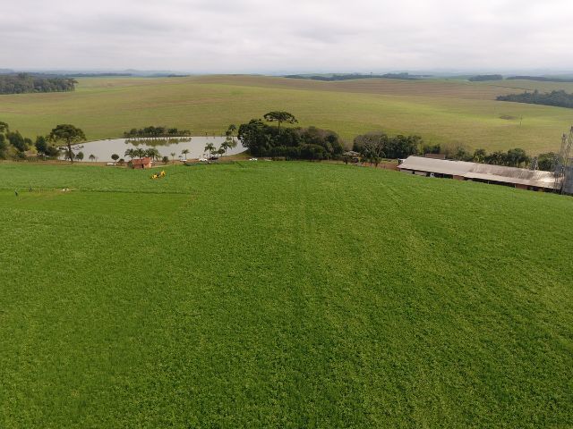 Leia mais sobre o artigo Epagri leva Prêmio Expressão de Ecologia por projetos de agricultura regenerativa e terraceamento