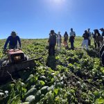 Epagri apresenta sistema sustentável de produção de hortaliças a comitiva de São Tomé e Príncipe