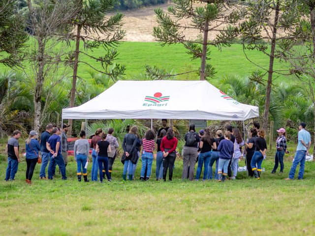 Leia mais sobre o artigo Eventos da Epagri buscam melhorar produtividade do gado de corte na região de Curitibanos