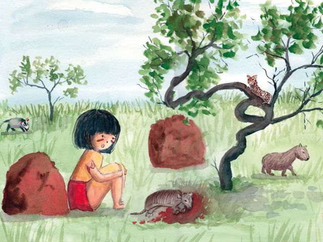 Dia do Meio Ambiente: Epagri lança animação sobre diversidade de solos 