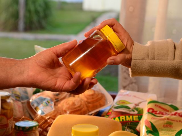 Leia mais sobre o artigo Observatório Agro Catarinense apresenta novos painéis interativos sobre produção de mel e ovos em SC