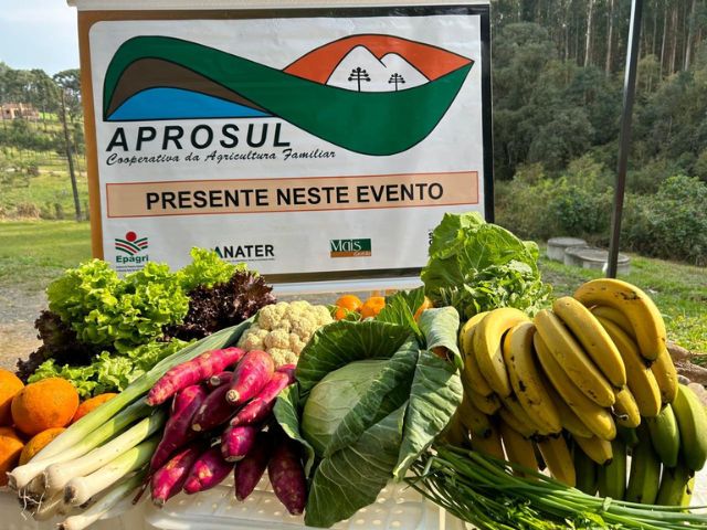 Leia mais sobre o artigo São Bento do Sul faz primeira entrega do ano do Programa de Aquisição de Alimentos