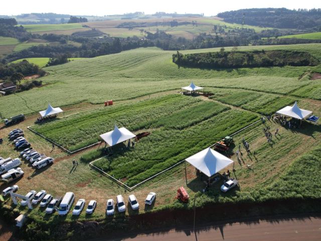 Leia mais sobre o artigo Dia de campo mostra a importância do manejo e da conservação de solo na produção de grãos no Oeste de SC