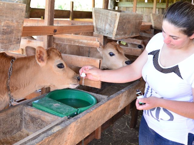 Leia mais sobre o artigo Aberto prazo para submissão de trabalhos no I Congresso Brasileiro de Homeopatia na Agricultura e Ambiente