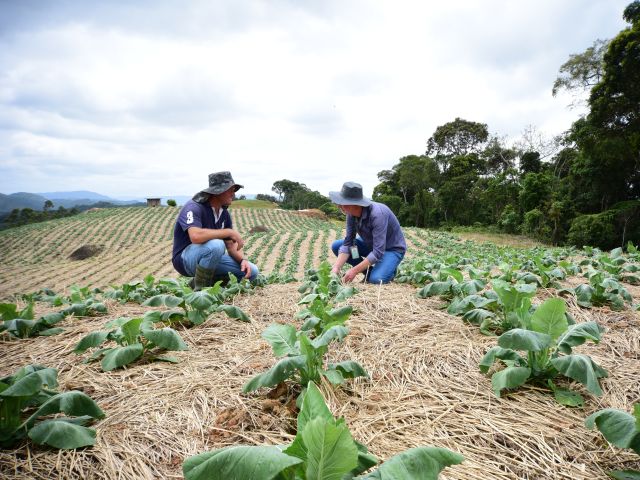 SC RURAL 2: Consulta da Proposta do Plano de Envolvimento das Partes Interessadas (PEPI)