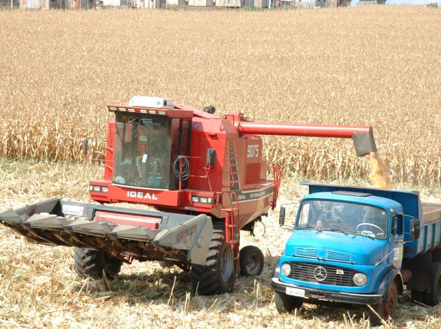 Leia mais sobre o artigo Safra de verão em SC: Epagri/Cepa estima aumento na produção das principais culturas agrícolas