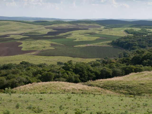 Leia mais sobre o artigo Campos naturais do corredor ecológico do rio Chapecó correm o risco de desaparecer