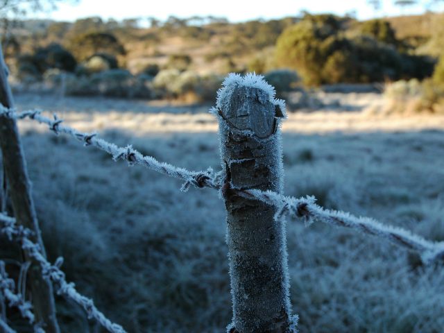 Leia mais sobre o artigo Epagri aprimora ferramenta de monitoramento do frio para fruteiras de clima temperado