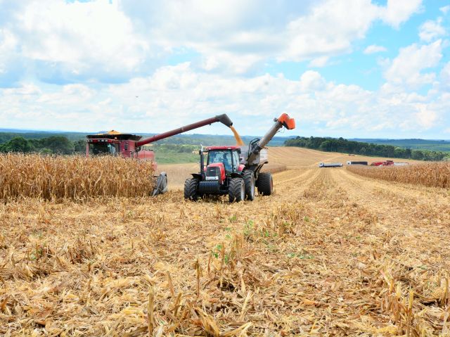 Leia mais sobre o artigo Observatório Agro Catarinense: Santa Catarina tem ferramenta inovadora para orientar a agropecuária por dados