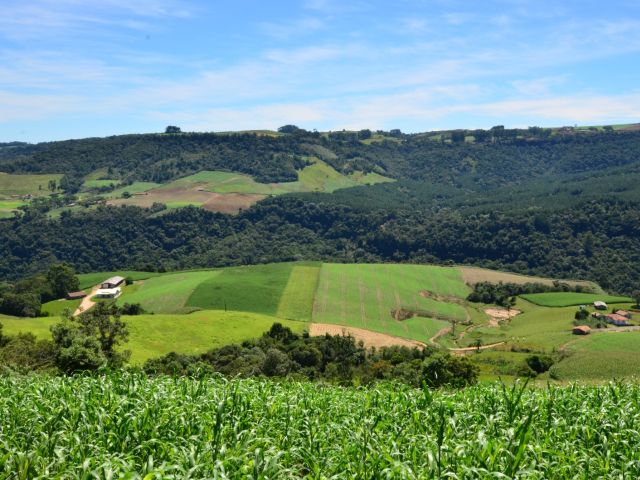 Leia mais sobre o artigo Governo do Estado envia projeto do SC Rural 2 para Assembleia Legislativa