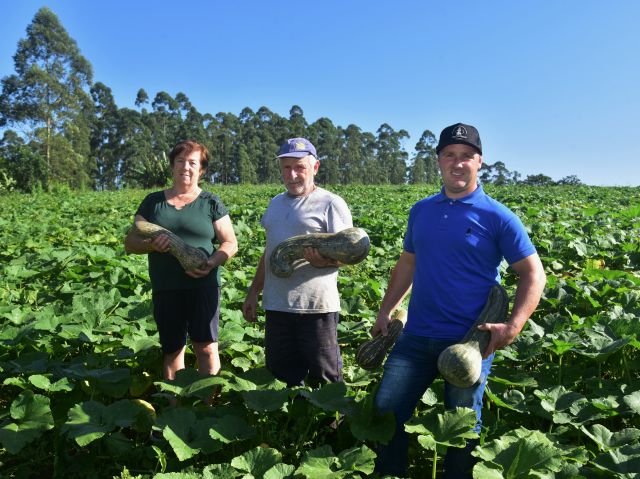 Leia mais sobre o artigo Curso para jovens rurais e da pesca desperta novos líderes no agro catarinense