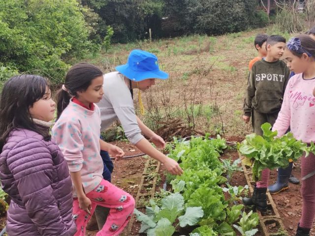 Leia mais sobre o artigo Epagri implanta hortas escolares em Brunópolis