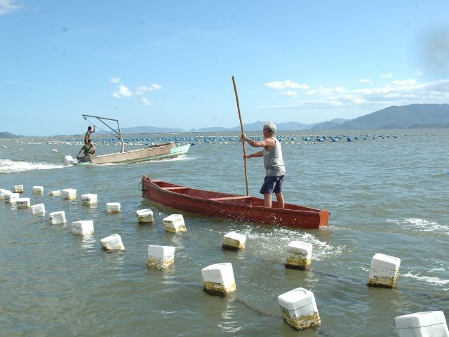 MPA reúne comunidade de Florianópolis para discutir sobre as áreas remanescentes para produção de frutos do mar