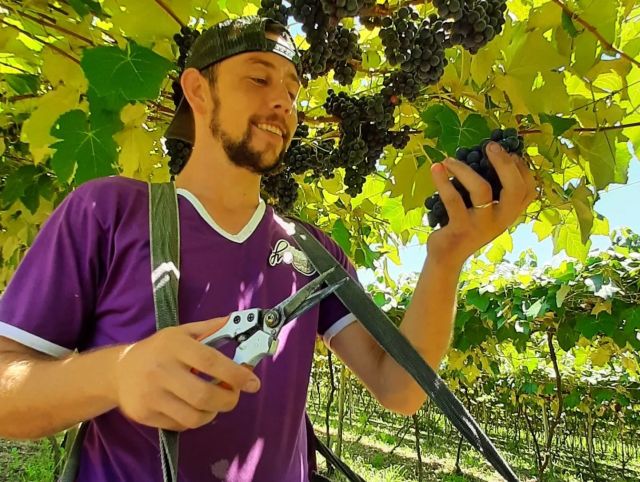 Leia mais sobre o artigo Conheça os vencedores do Concurso dos Melhores Vinhos e Sucos de Uva do Planalto Norte