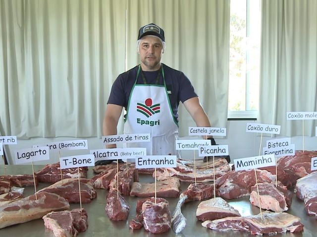 Leia mais sobre o artigo Aprenda a fazer cortes de carne bovina: confira vídeos de extensionista da Epagri