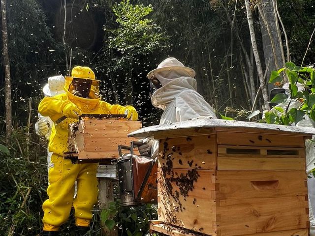 Leia mais sobre o artigo Epagri orienta apicultores de Major Gercino sobre monitoramento e controle do ácaro varroa