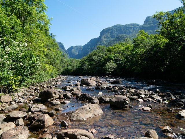 Leia mais sobre o artigo Hotsite da Epagri/Ciram apoia regularização ambiental de propriedades rurais catarinenses