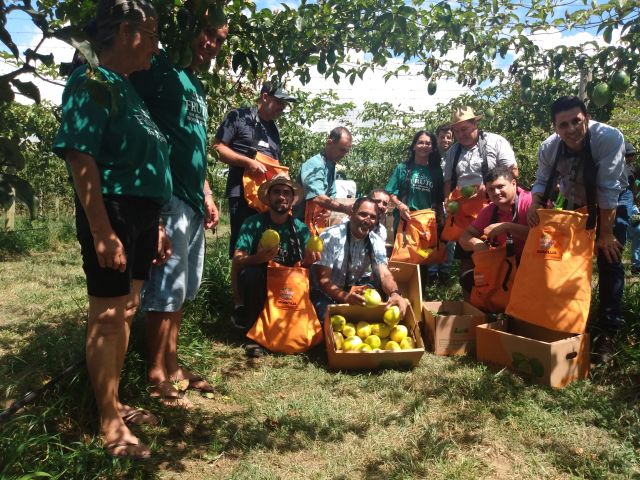 Leia mais sobre o artigo Balneário Gaivota sedia abertura da colheita do maracujá em SC, dia 19 de dezembro