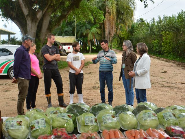 Leia mais sobre o artigo Balanço Epagri 2024: extensão rural atende mais de 117 mil famílias