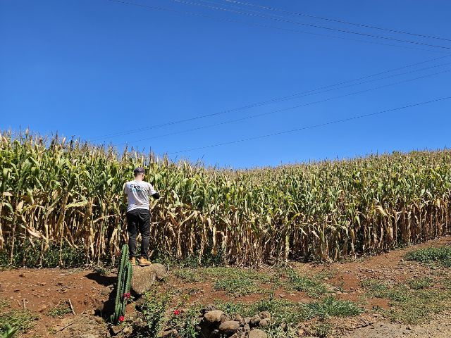 Leia mais sobre o artigo Epagri e Sicoob promovem Giro da Safra no Oeste de SC