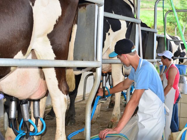 Leia mais sobre o artigo Epagri disponibiliza índice de estresse térmico para evitar perdas na produção de leite decorrentes do calor extremo